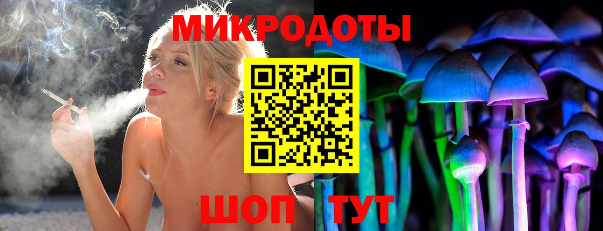Галлюциногенные грибы Cubensis  Вход с VPN  Псилоцибиновые грибы Cubensis  Печора 